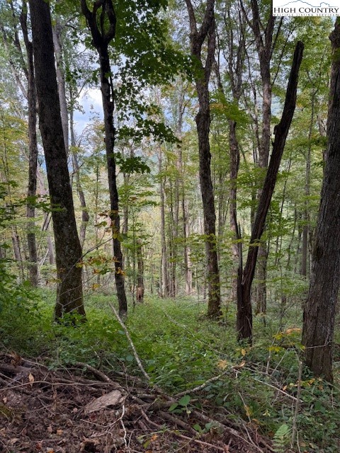 Lot 74a TBD Poplar Trail