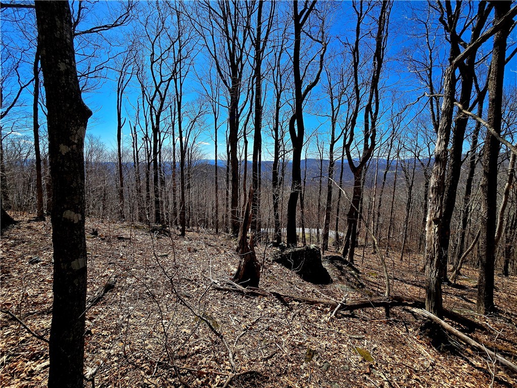 Lot 78 Elk Creek Mountain Parkway