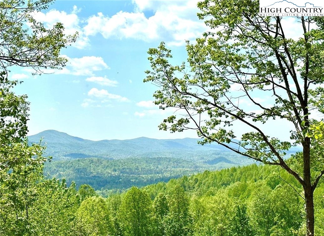 Lot 79 Ridge Run Road