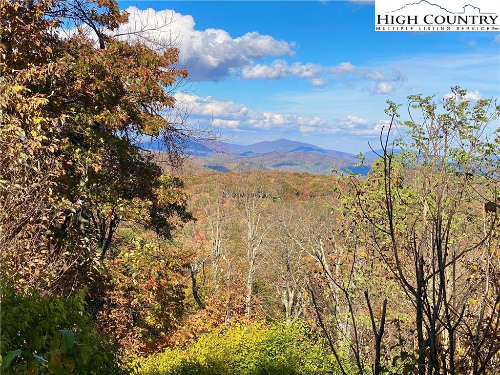 Lot 8 Boone Ridge Lane