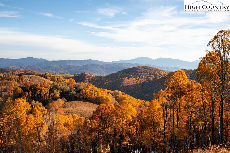 LOT 8 Pebble Creek Trail