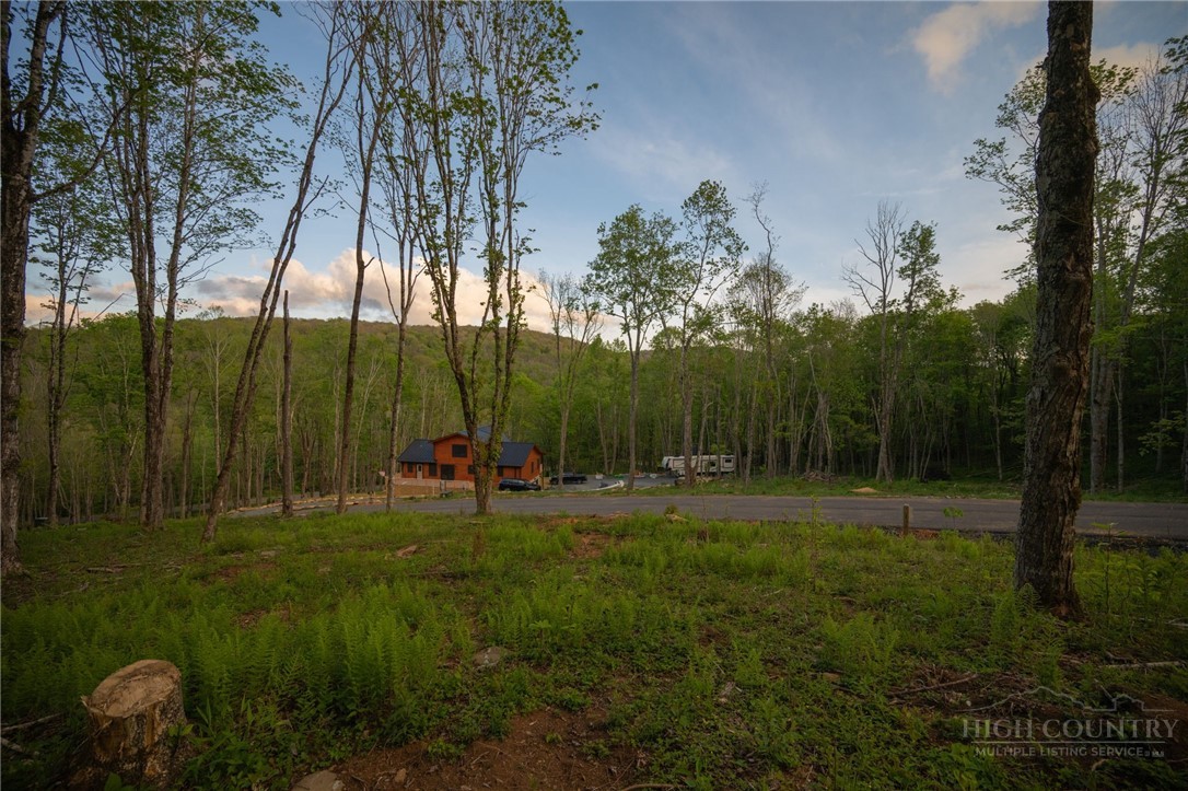 Lot 8 Timberwood Trail