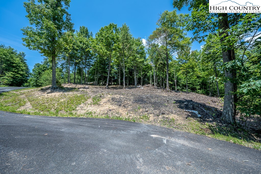 Lot 81 TBD Bear Creek Road