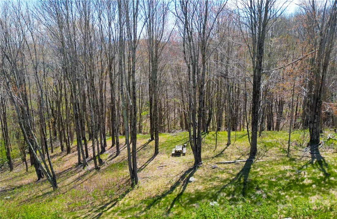 Lot 86 Featherwood Trail