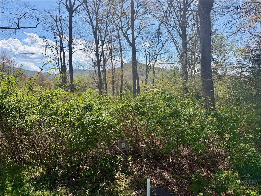 Lot 9 Pasture Lane