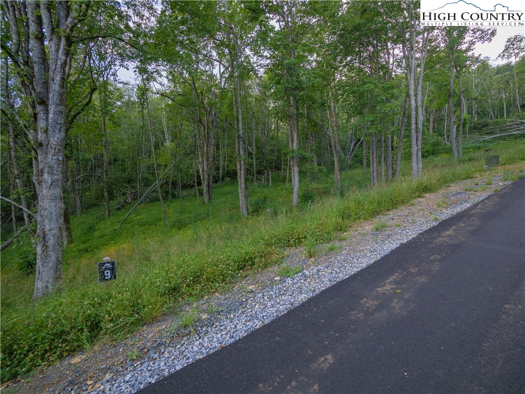 Lot 9 Timberwood Trail