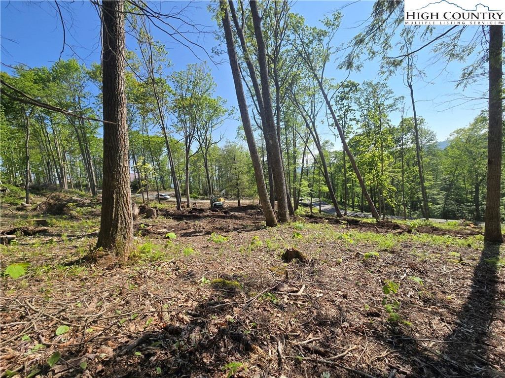 Lot 90 Eagles Nest Trail