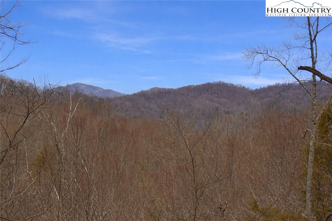 Lot 92 Beaver Dam Road