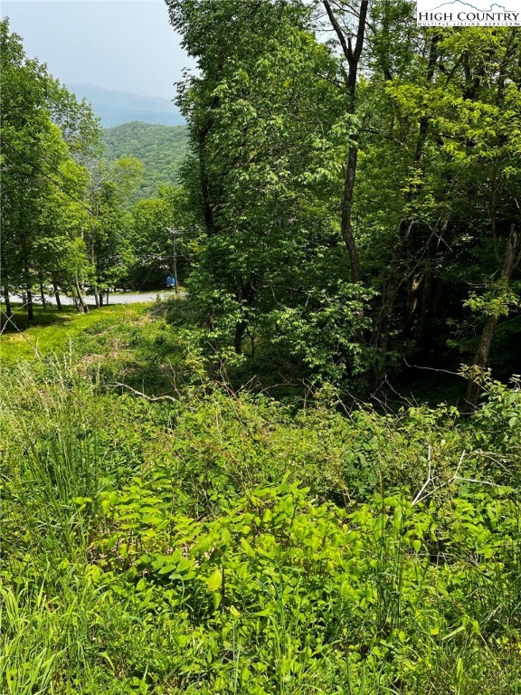 Lot 93 Moonlight Trail
