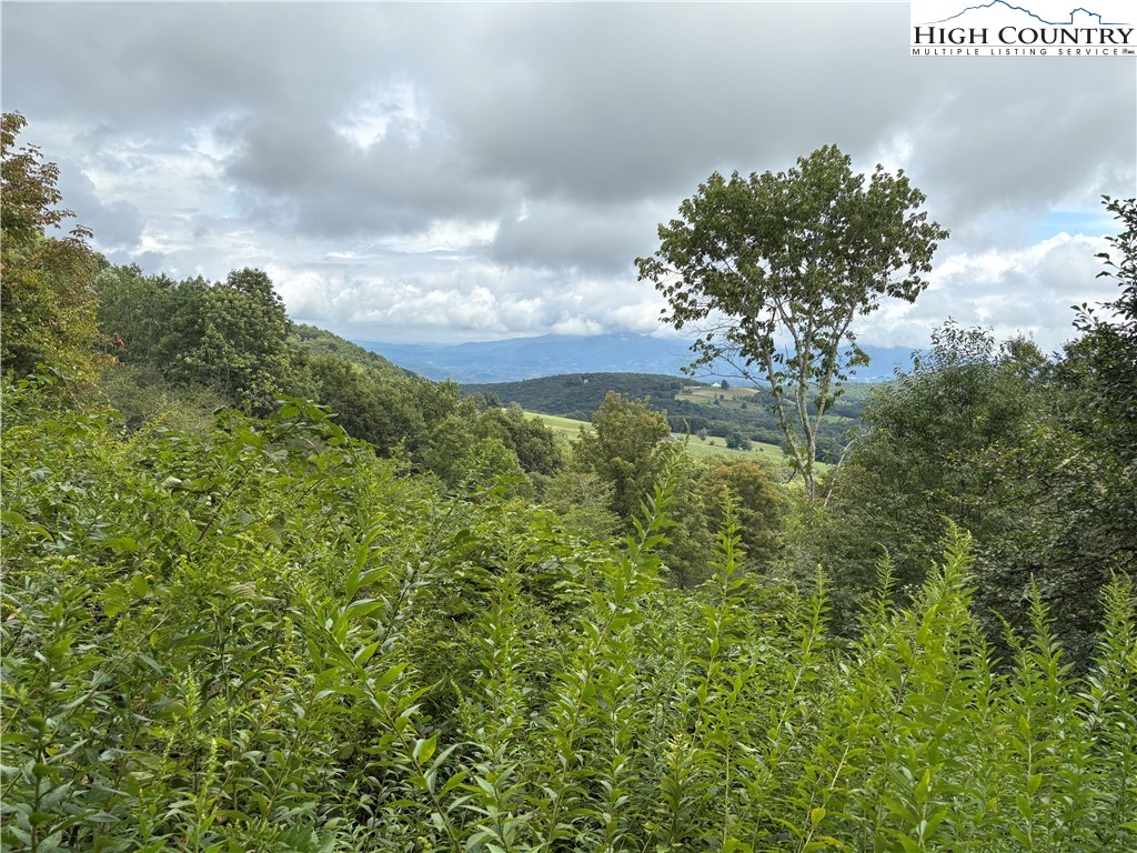 Lot 98 Eagle Peak Trail