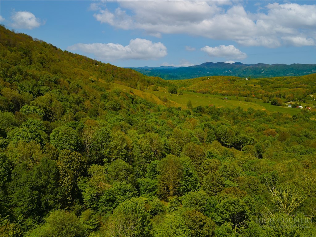 Lot 98 Eagle Peak Trail