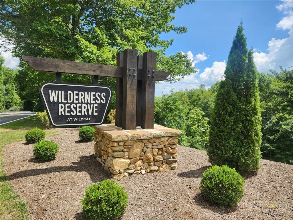 Lot 99 Wildcat Wilderness Parkway