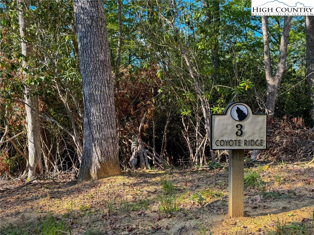 Lot R3 Coyote Trail