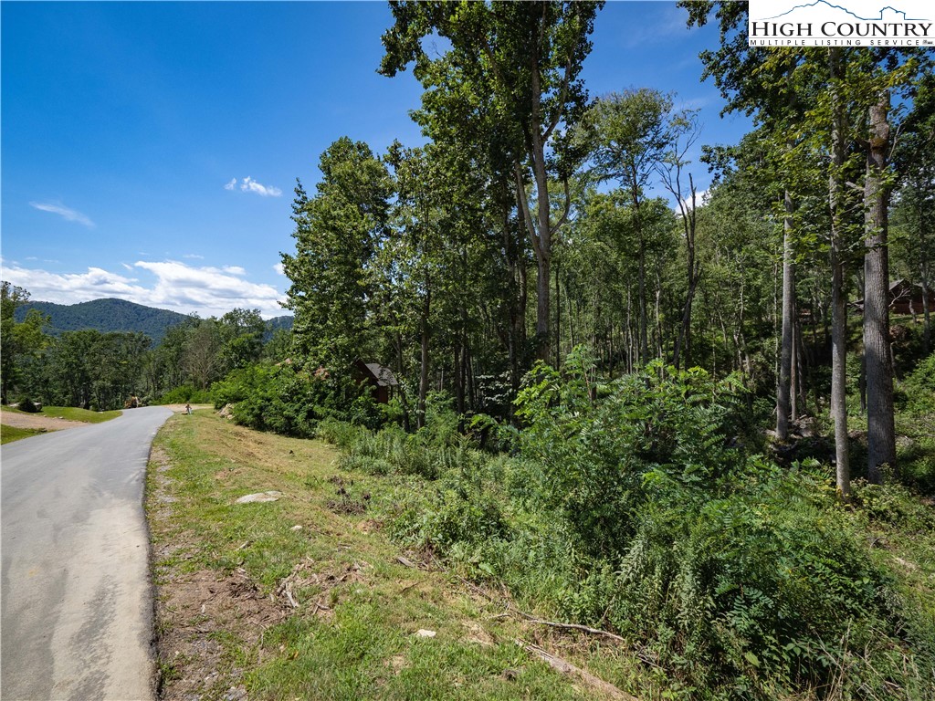 Lot V79 Tioga Trail