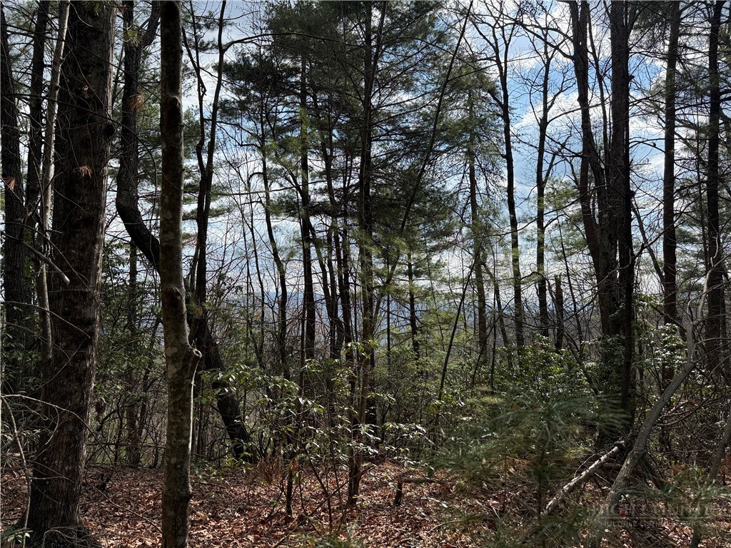 Lots 51 & 52A Staghorn Road