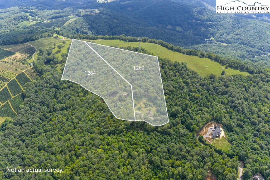 Lots 8, 9 Mountain Laurel Parkway