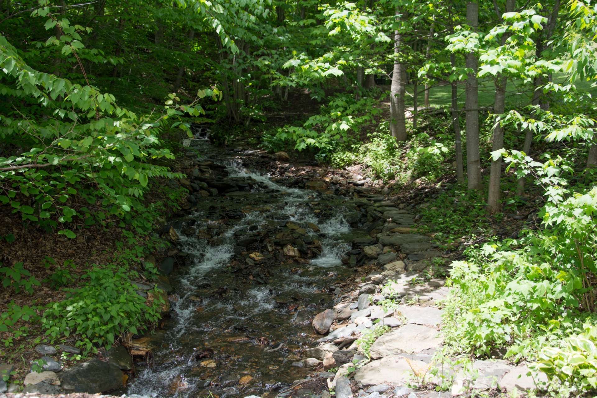 Enjoy a stroll down by the bold Buffalo creek.