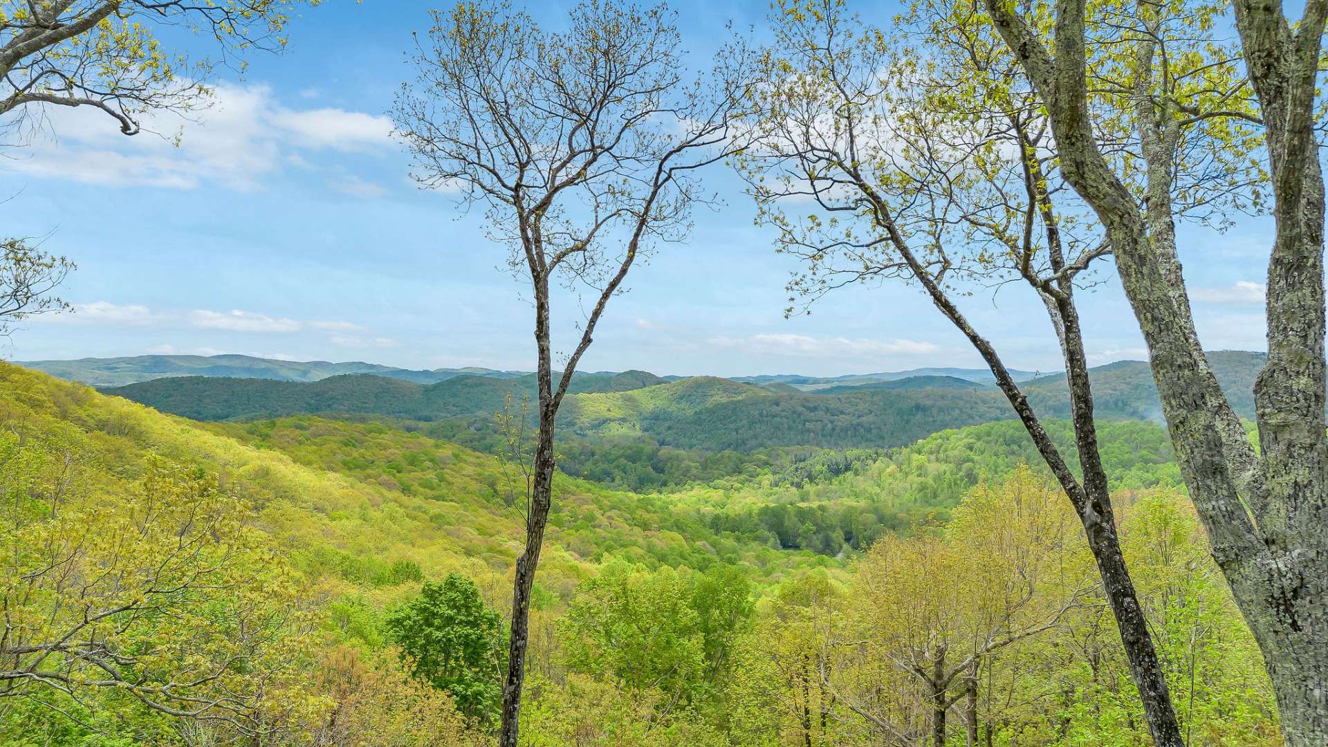 This panoramic view will take your breath away each day you spend in the NC mountains.