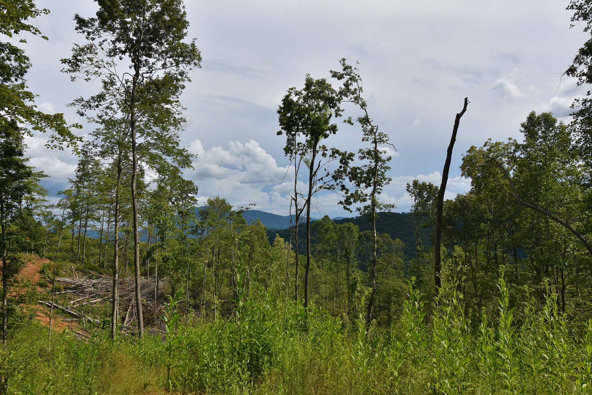 There are multiple building sites, including this one with wonderful long range mountain views.