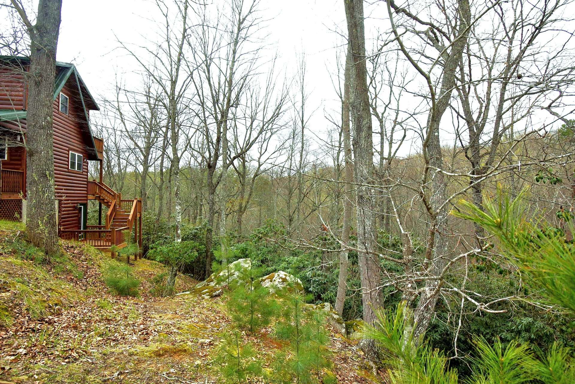 Nestled among a 1.34 acre setting with native hardwoods, evergreens and mountain foliage, this cabin is ideal for your mountain retreat.