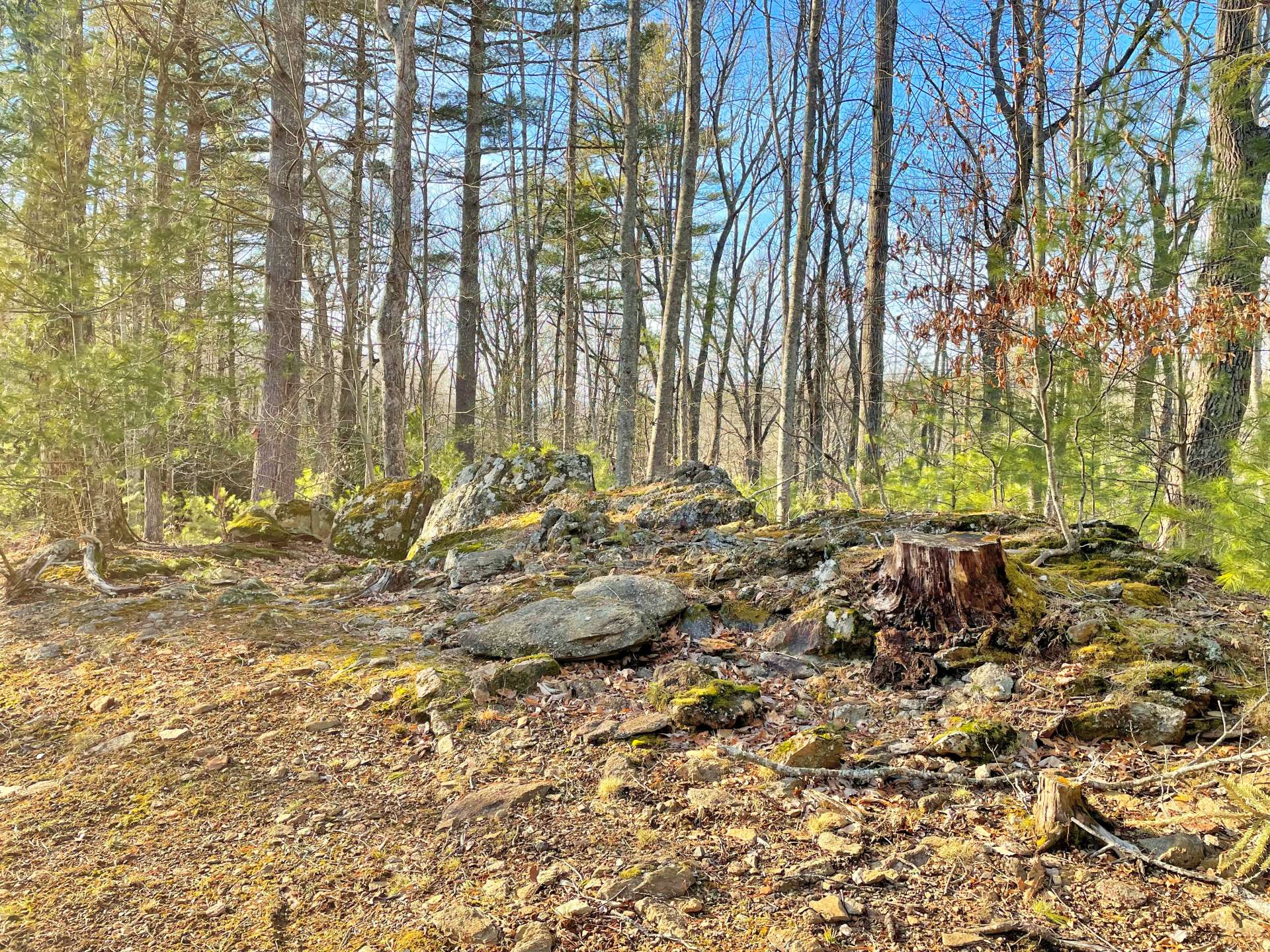 Large rock outcroppings in the backyard.