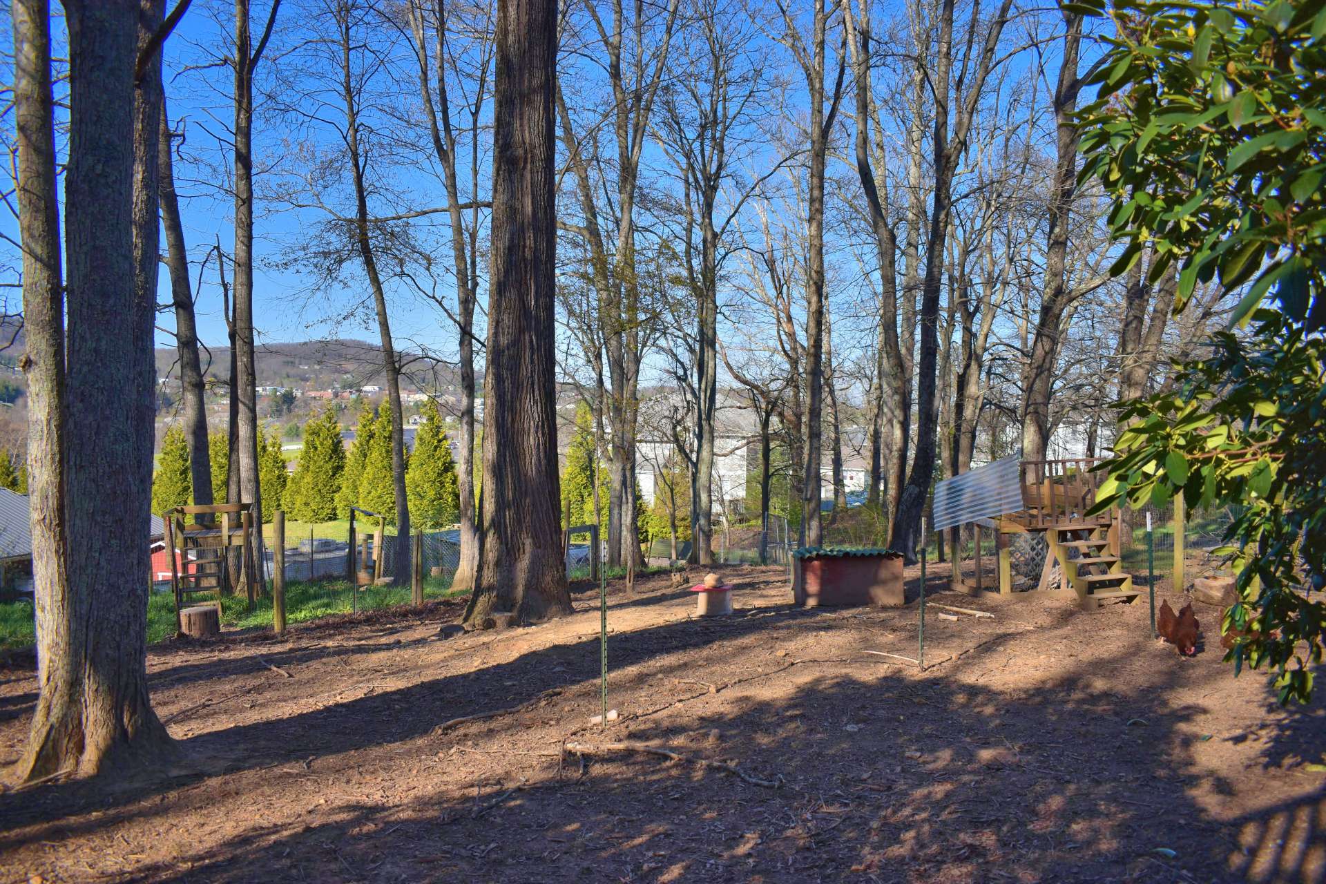 Large partially fenced backyard.