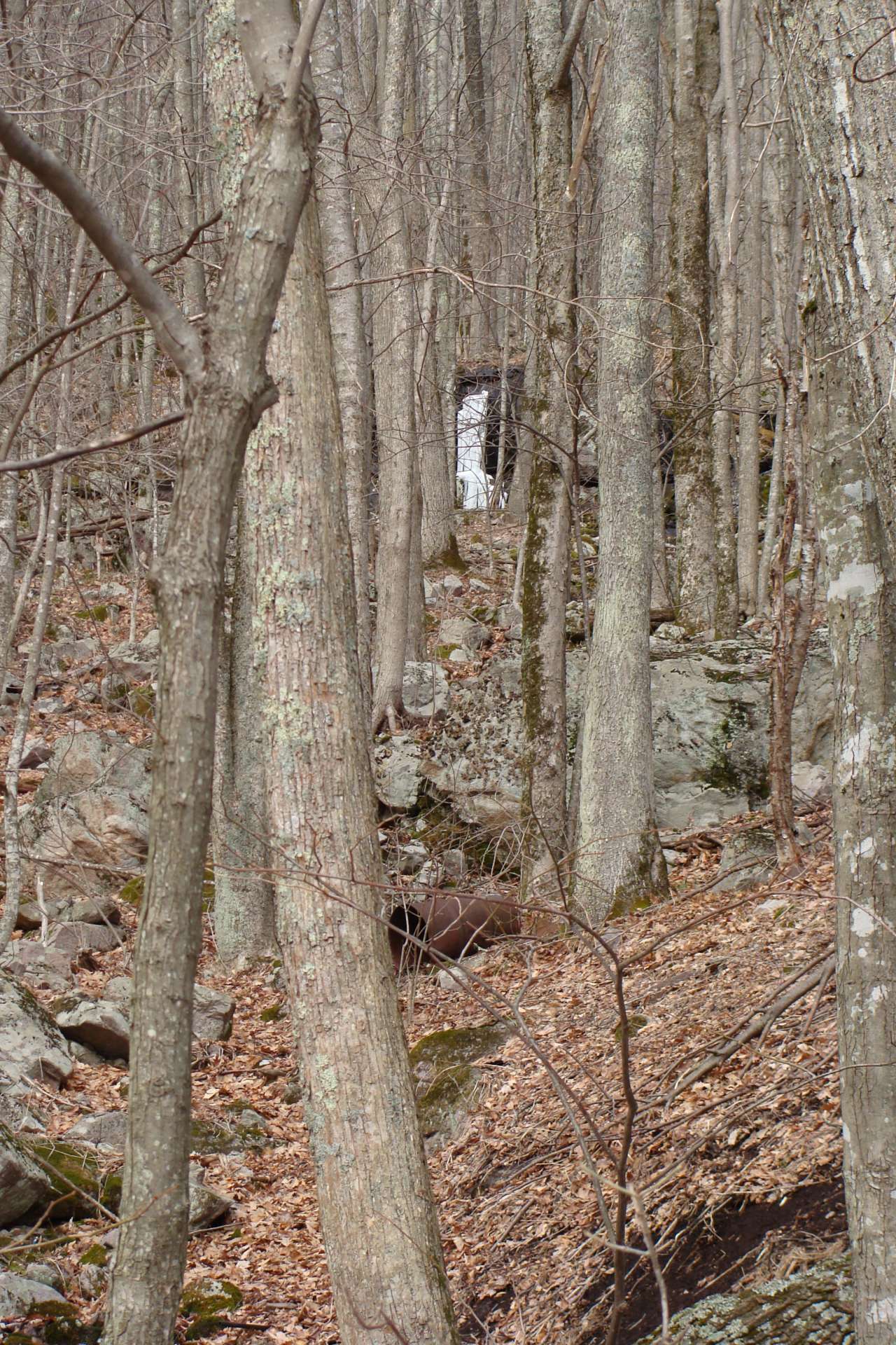 Enjoy a break while hiking the trails with these waterfalls. The frozen waterfall below is located along the back of the property bordering the Jefferson National Forest.