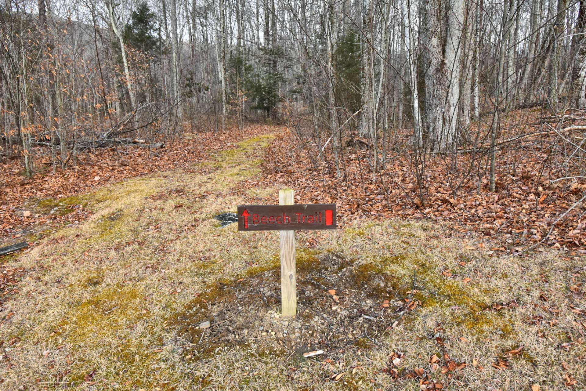 Trails and streams meander all along the property giving access to Nature's showcase and the mountain's character and personality.