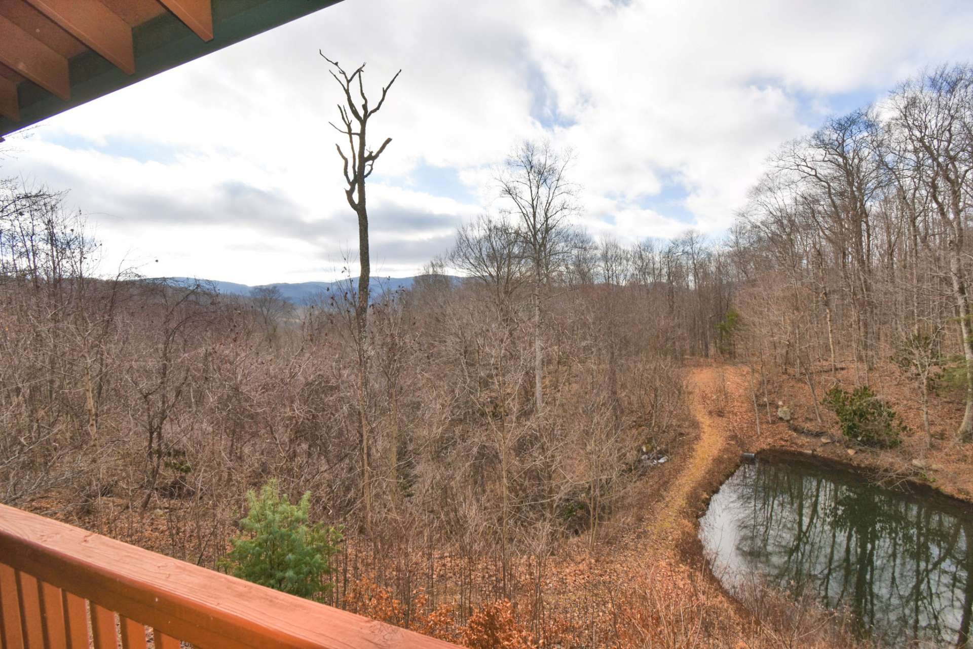 Located just behind the cabin, this trout pond offers endless hours of enjoyment.