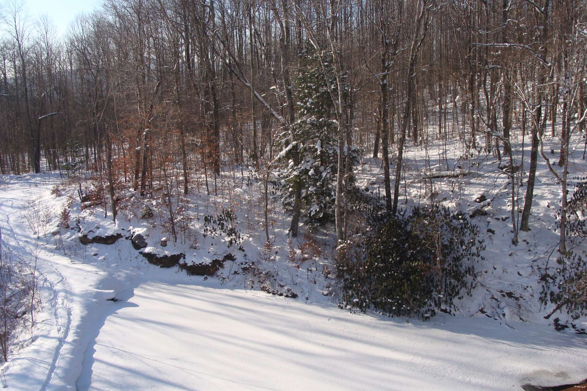 Nature's snowy blanket does not hinder the wildlife. Notice the deer trail by the pond.