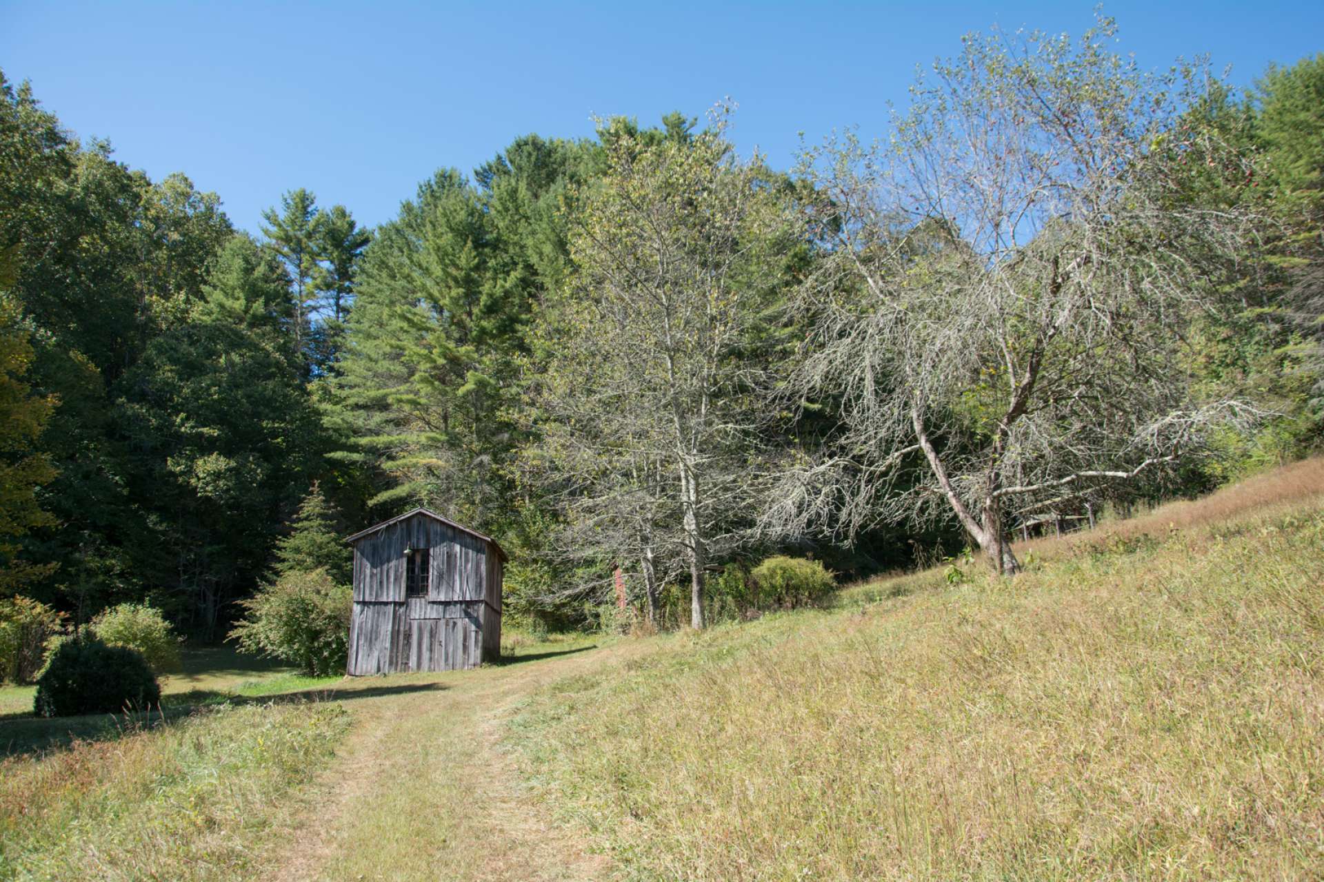Travel on down the private country lane leading to the vintage 2-bedroom, 1-bath farmhouse.