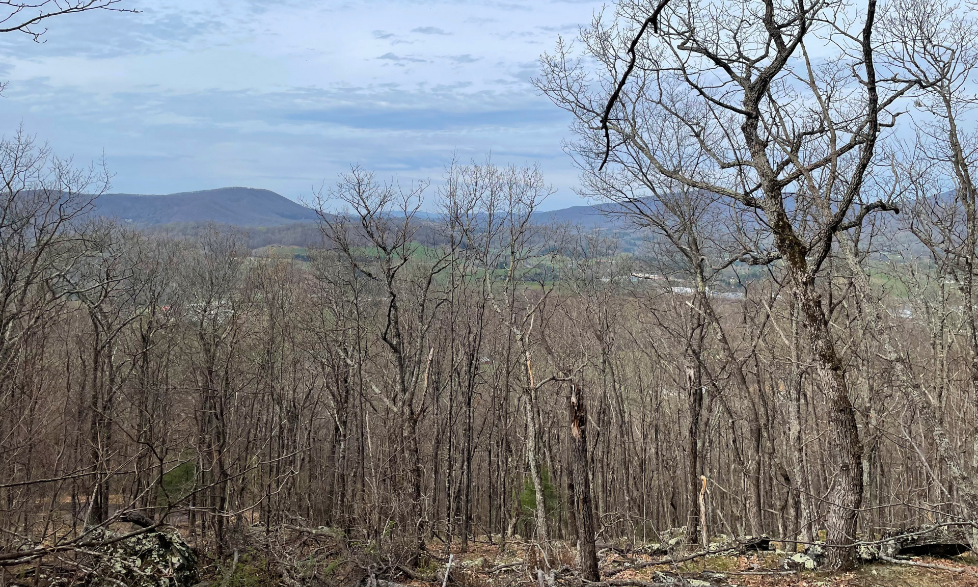 Mountain Farms Estate Homesite Blue Ridge Mountains