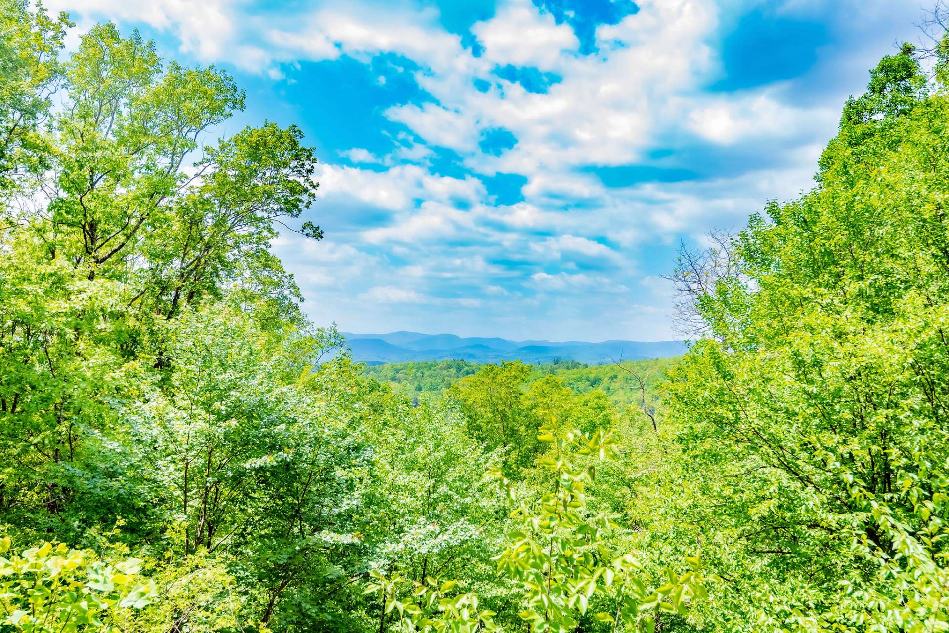 Enjoy long range mountain views framed by lush hardwoods.