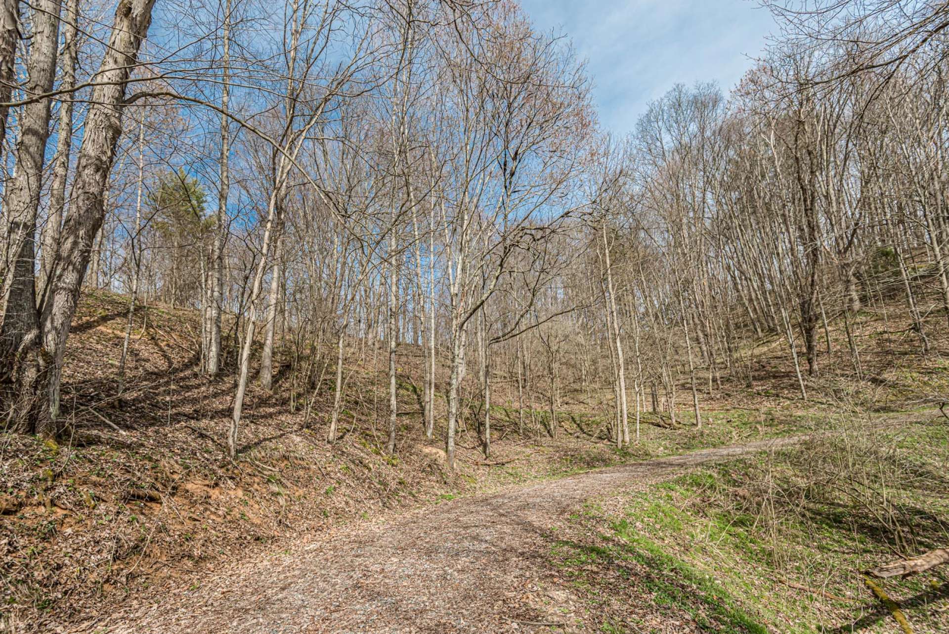 This property is ready for your cabin with homesite and driveway grading almost completed.