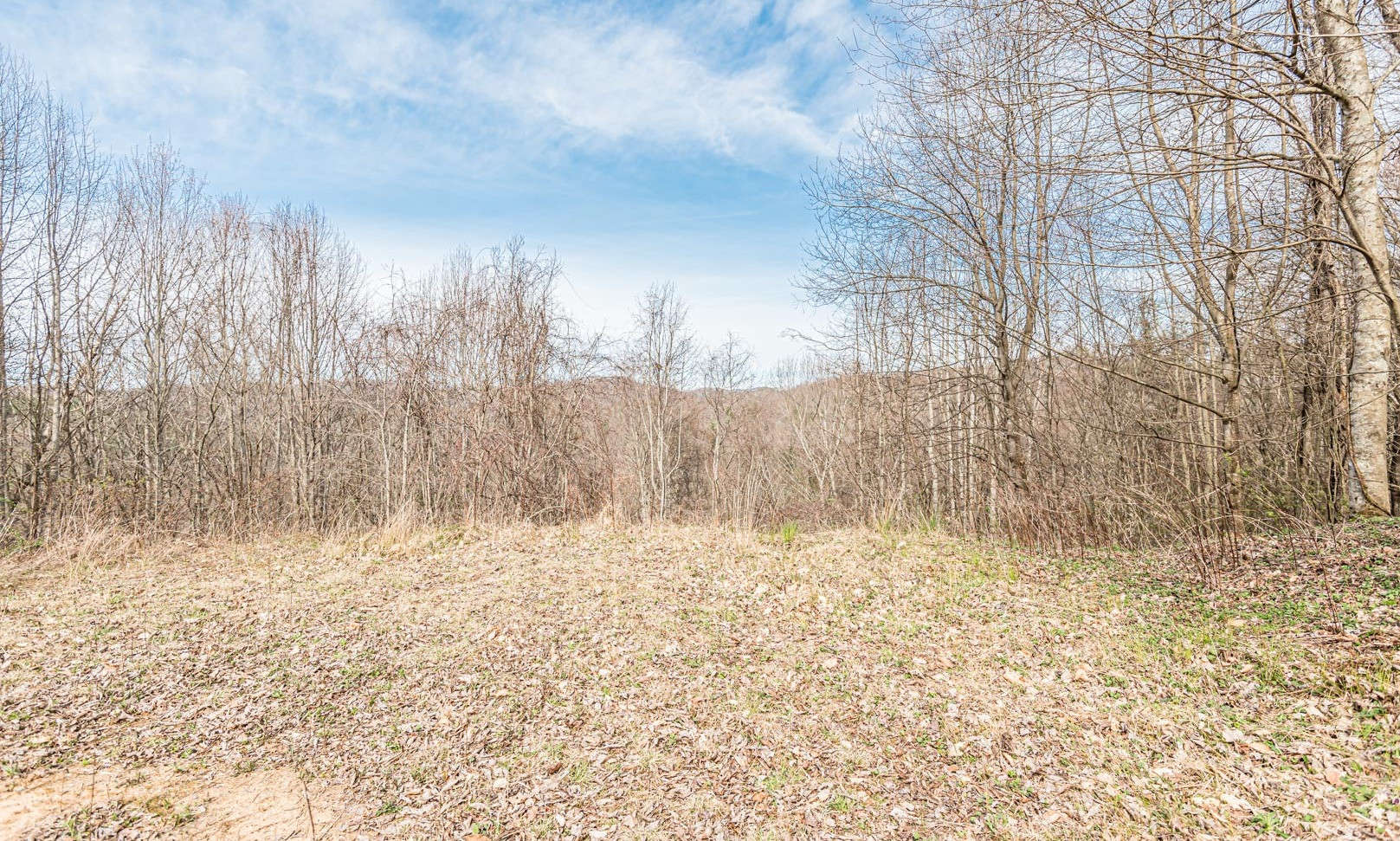 Enjoy long range mountain views from this home site, after selective tree trimming.