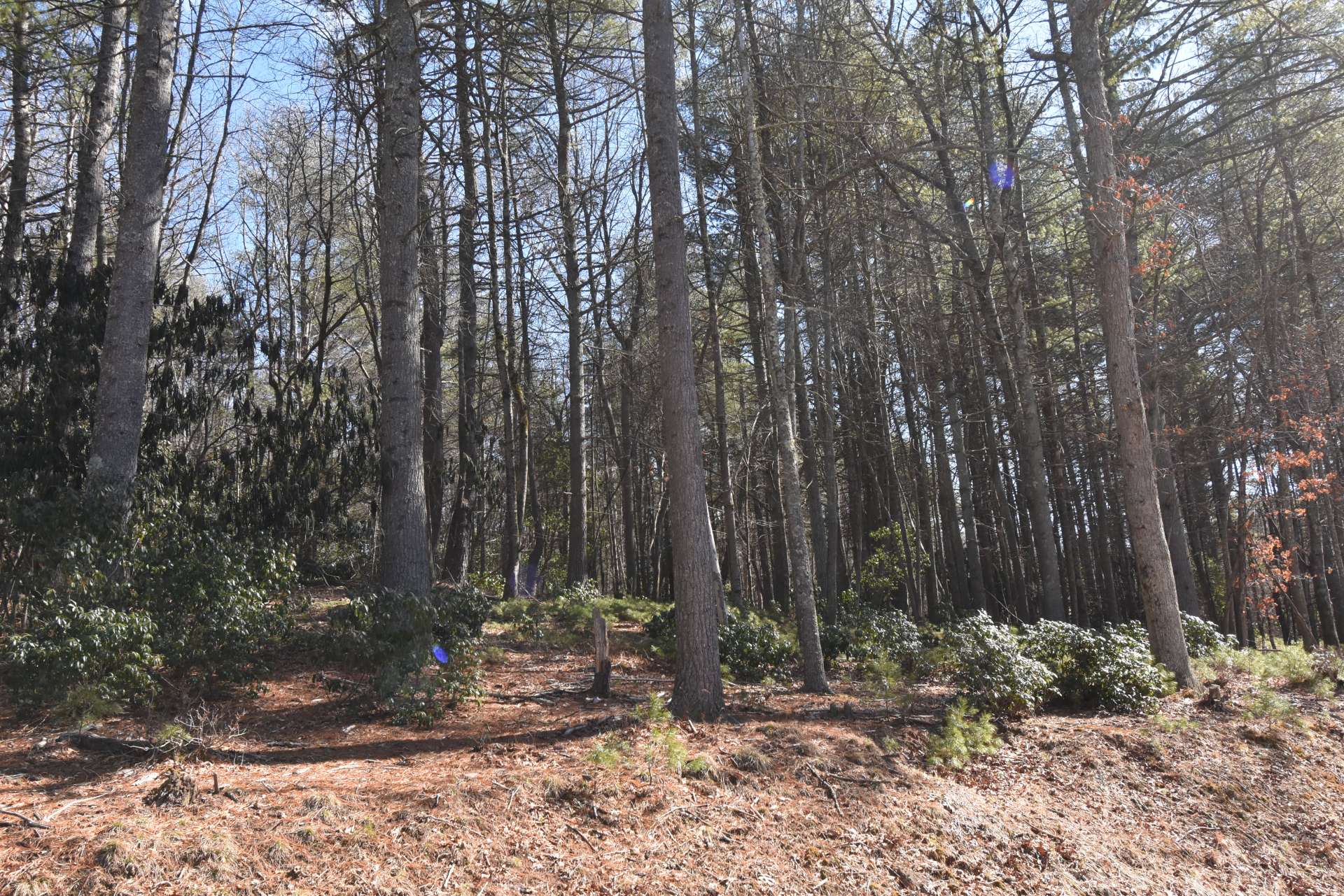 Lot 6 is offered at $28,000.  This lot can be purchased with lot 13, making a 2.5 acre homesite, for a discounted price.  Come take a look today! Ask for information on listing L234.