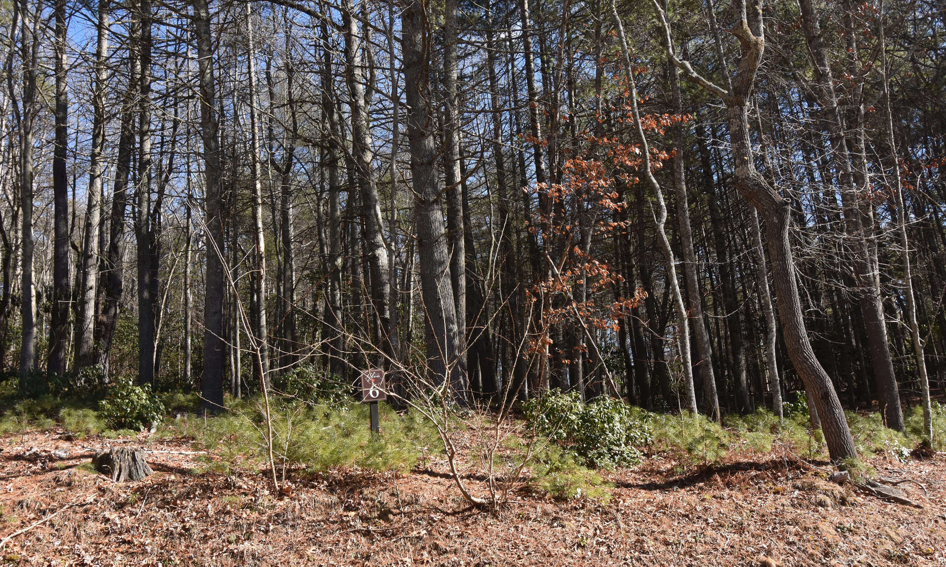 Lot 6 is now available and offers a beautifully wooded 1.29 acre home site for your mountain cabin or  full time home.