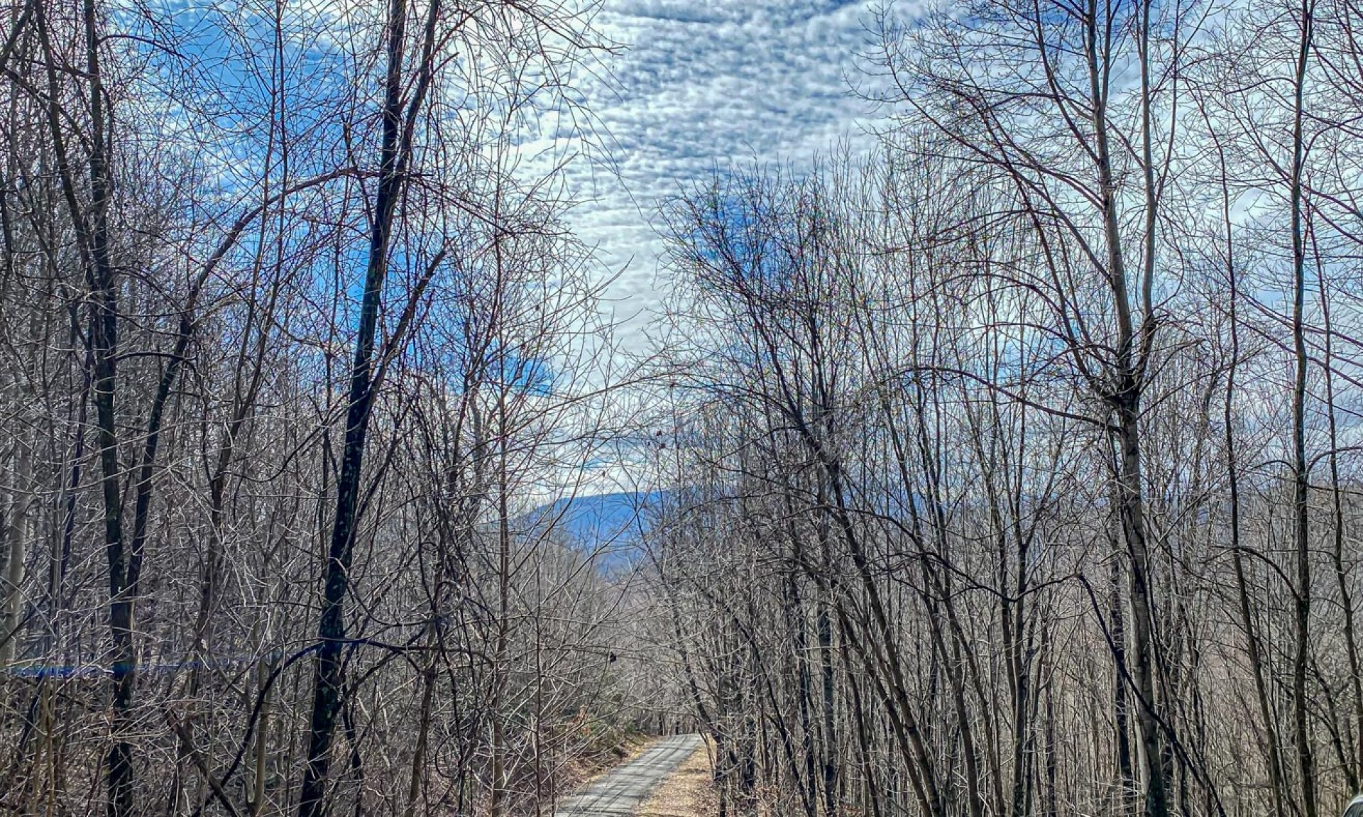 Lot 111 of the NC Dreams Community in the Grassy Creek area of Ashe County is the ideal option for your mountain home or cabin.