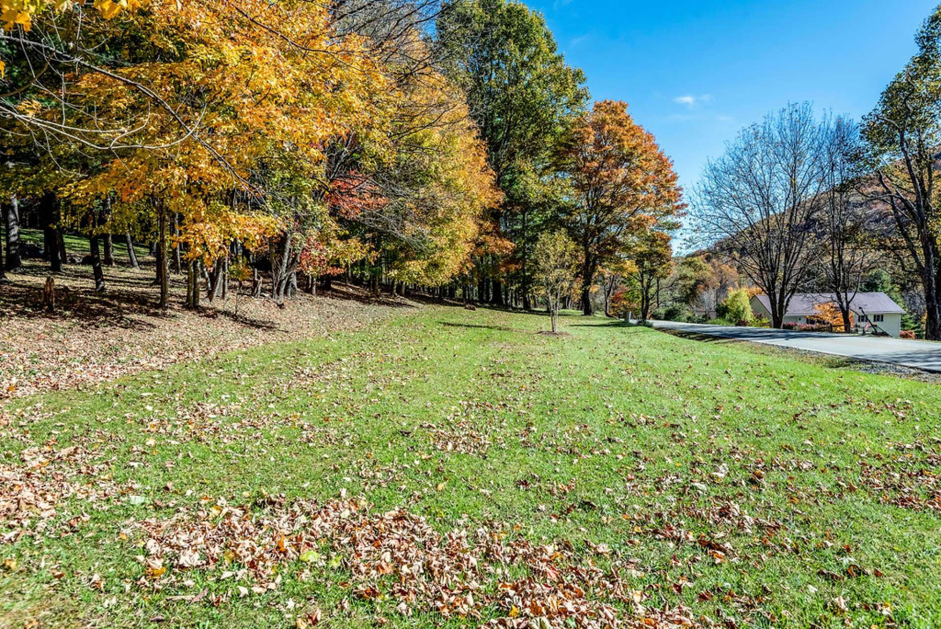 Lots of hardwoods create a beautiful canvas throughout all four seasons in the NC Mountains.