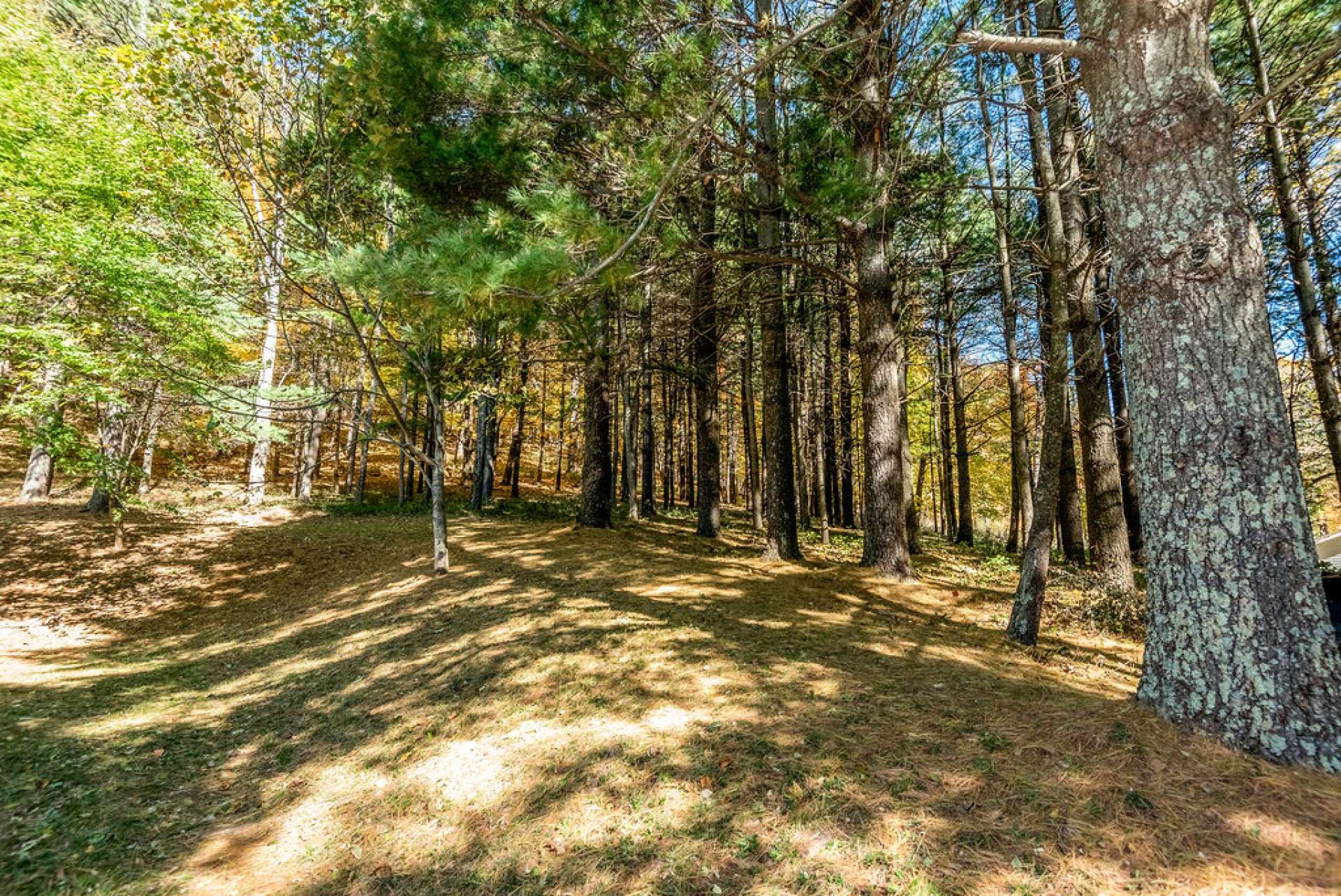 The 7. 37 acres is mostly wooded and a wonderful place for an afternoon stroll.