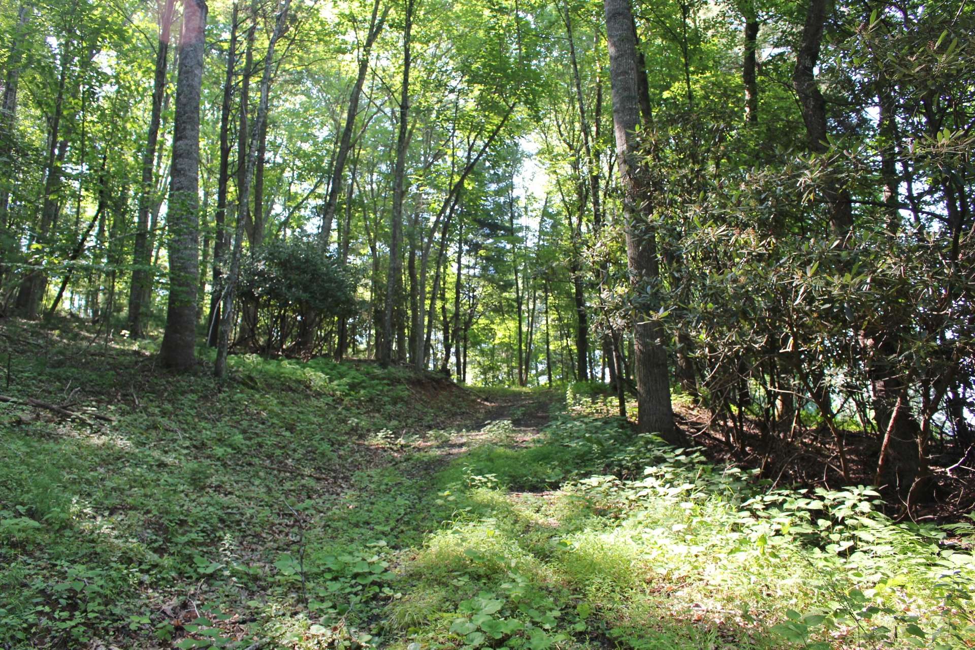 This tract features a gravel based driveway, canopied by towering hardwoods, evergreens and mountain foliage, all the way to the top of the tract.