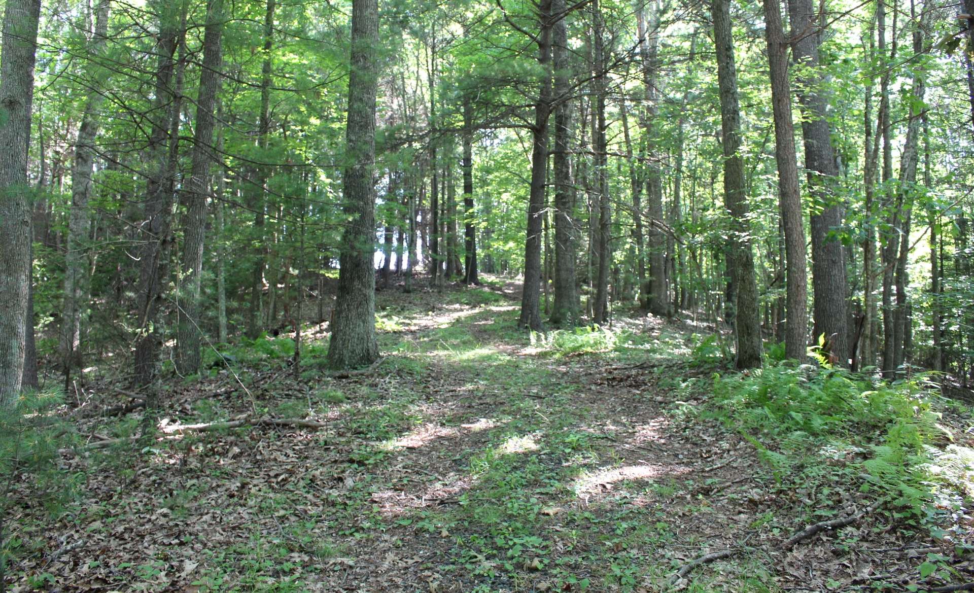 Misty Cove contains only six large lots and offers underground utilities.  Lot 5 is a gently sloping 4.648 wooded tract filled with large white pine, hardwoods and rhododendron, the perfect environment for abundant wildlife.
