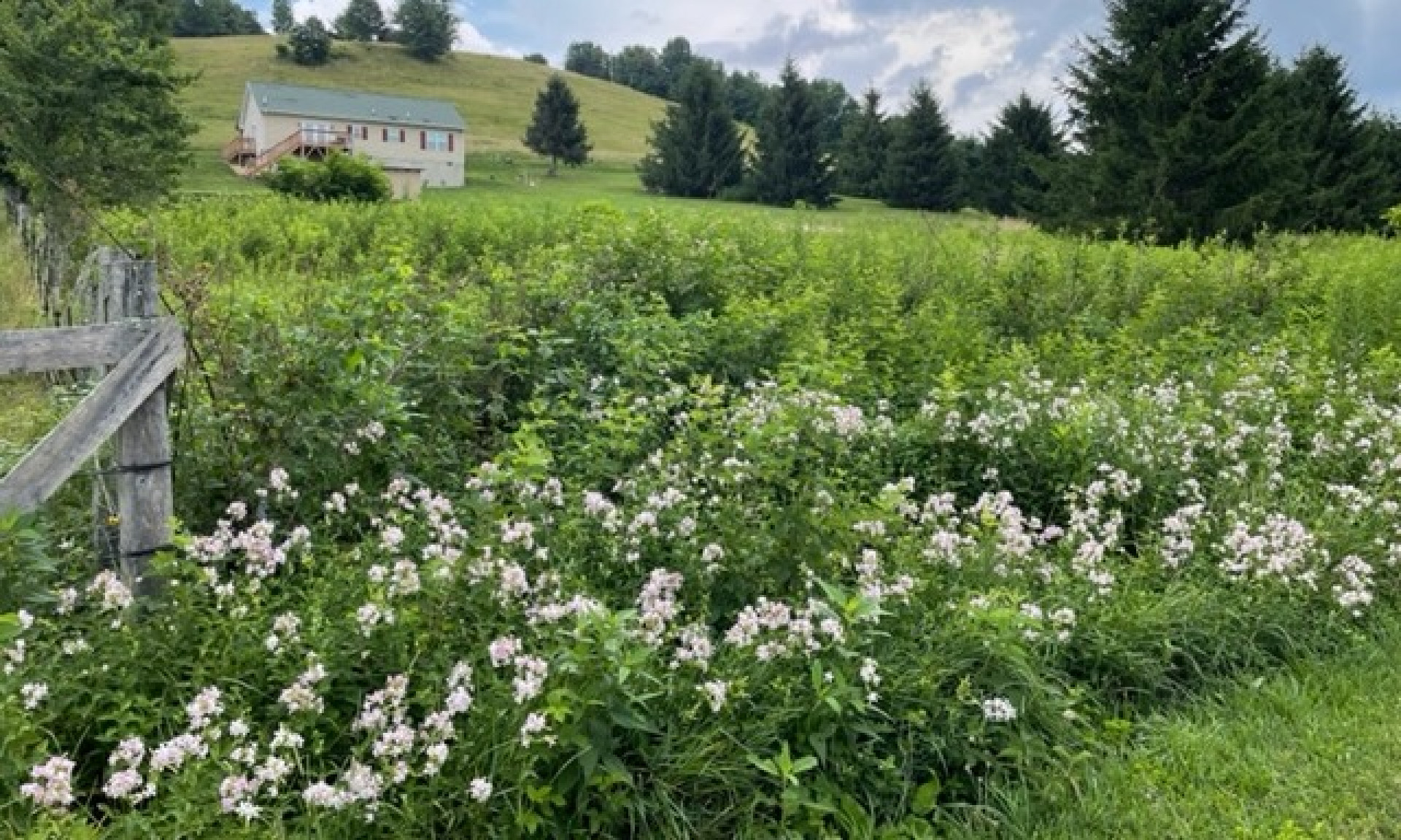 Mountain Homesite Fleetwood NC