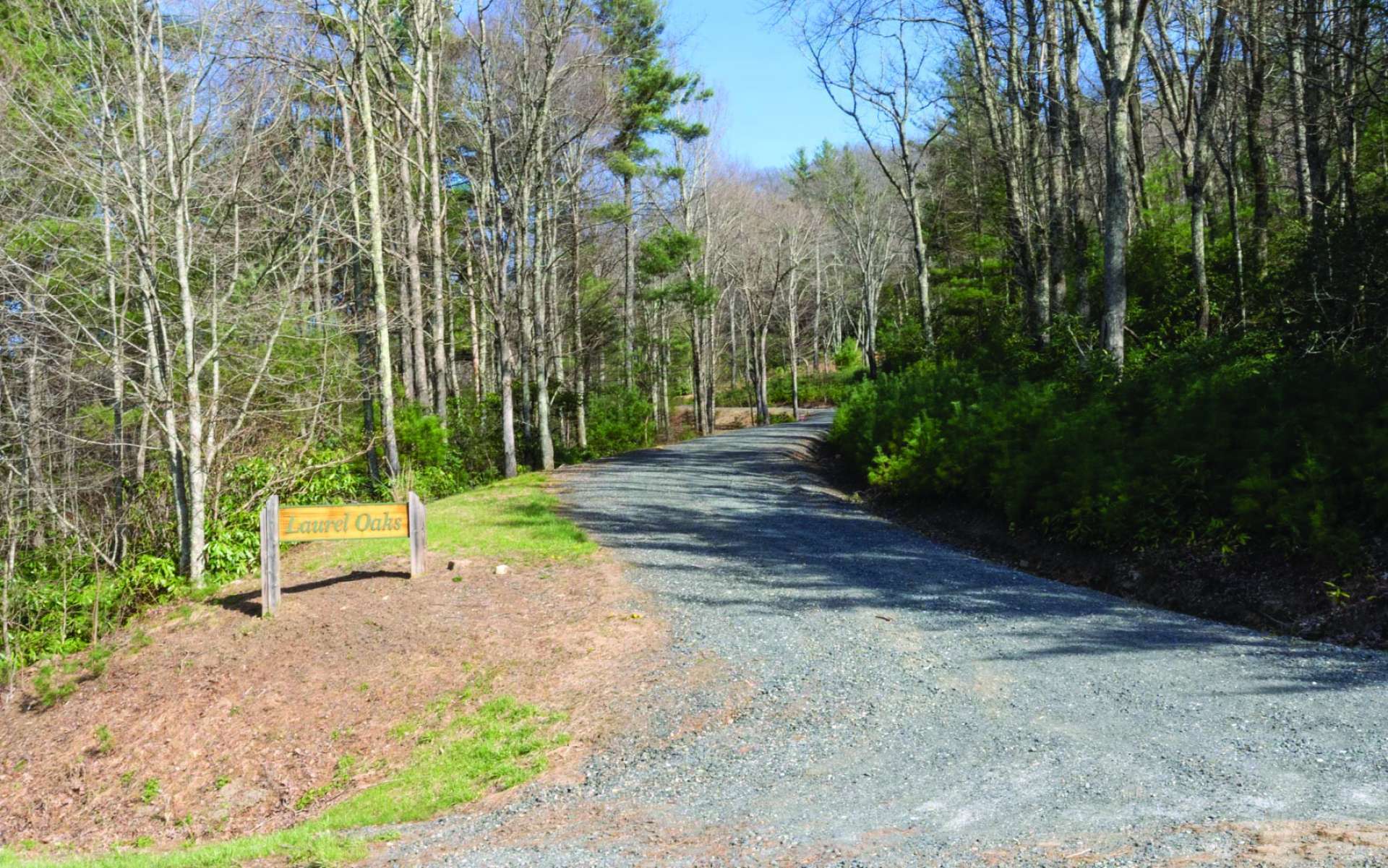 TAKE TO THE WOODS!  Laurel Oaks is a small rustic log home community in southern Ashe County with seasonal long range mountain and pastoral views.