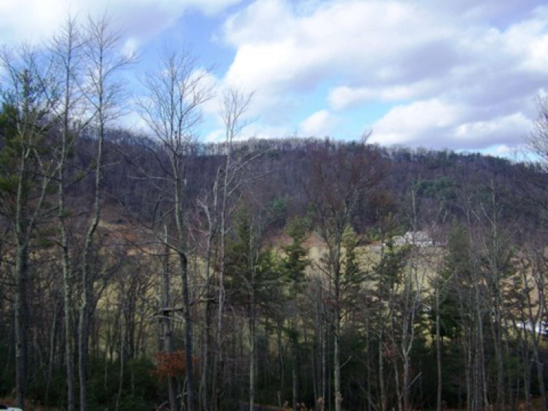 Lot 2 is a 1.01 sloping wooded homesite with seasonal mountain and pastoral views. Laurel Oaks has underground utilities and private graveled road.