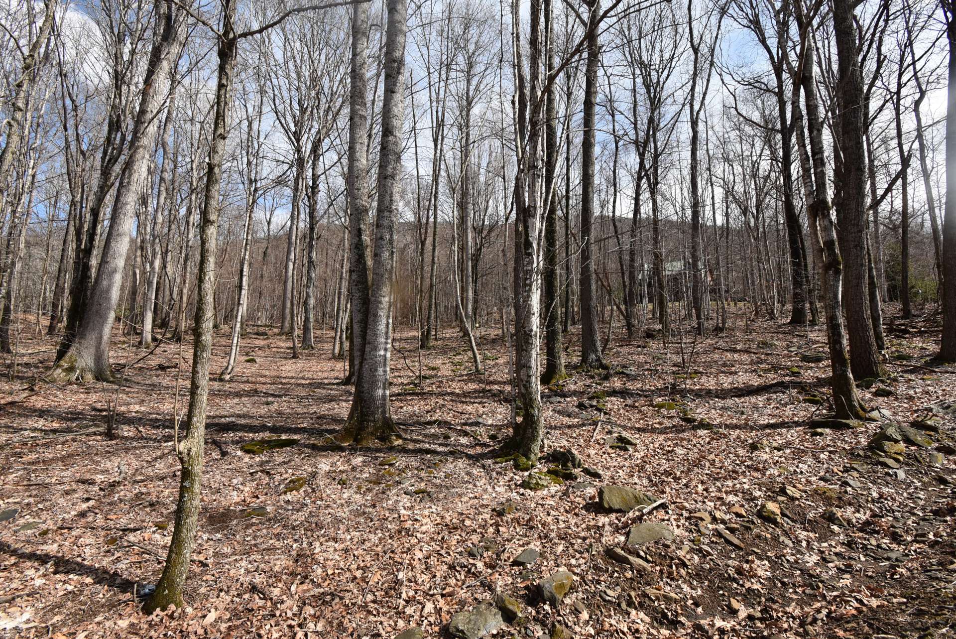 Offered at $55,000,  this NC Mountain homesite  is a great option for the construction of your mountain retreat cabin or primary home.  Call for details on listing  B204.