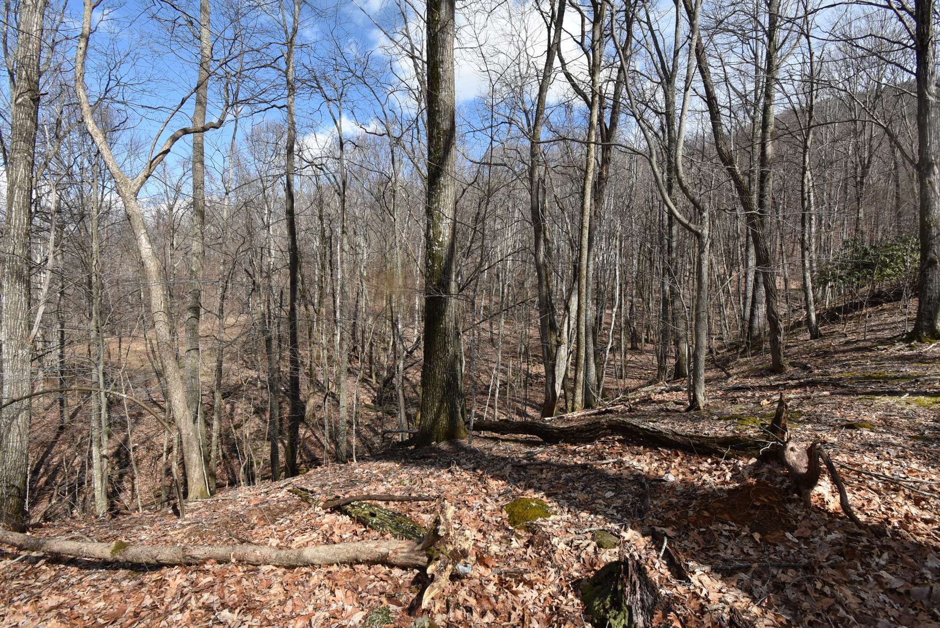 A small stream runs through part of the property, native mountain foliage and  mature hardwoods cover the acreage.