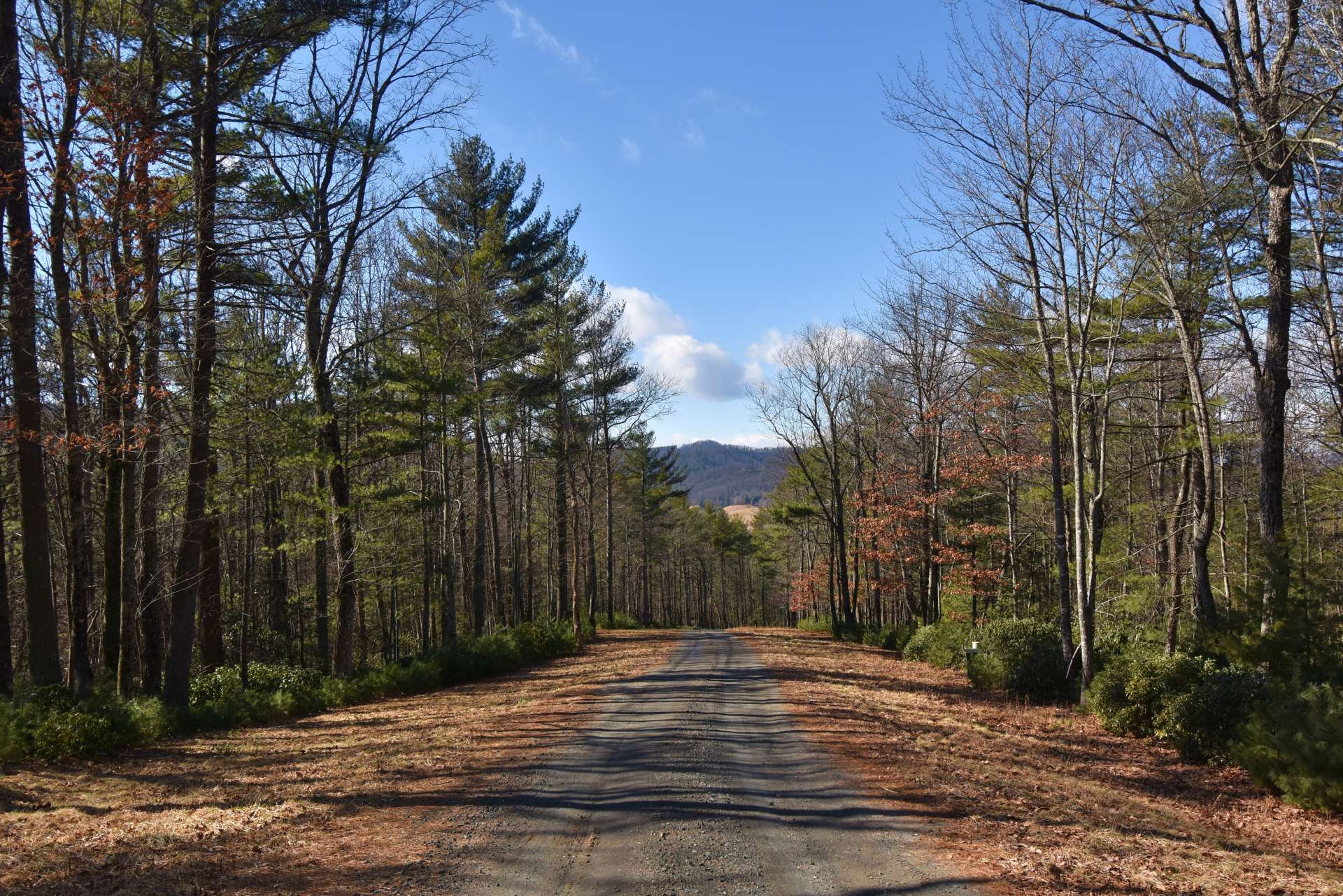 Welcome to The Glen at Calloway Gap!  The Glen @ Calloway Gap  is a small subdivision with wide roads, underground electrical service to the lots, and lots that lay well and are blanketed with hardwoods, Mountain Laurel, and Rhododendron.