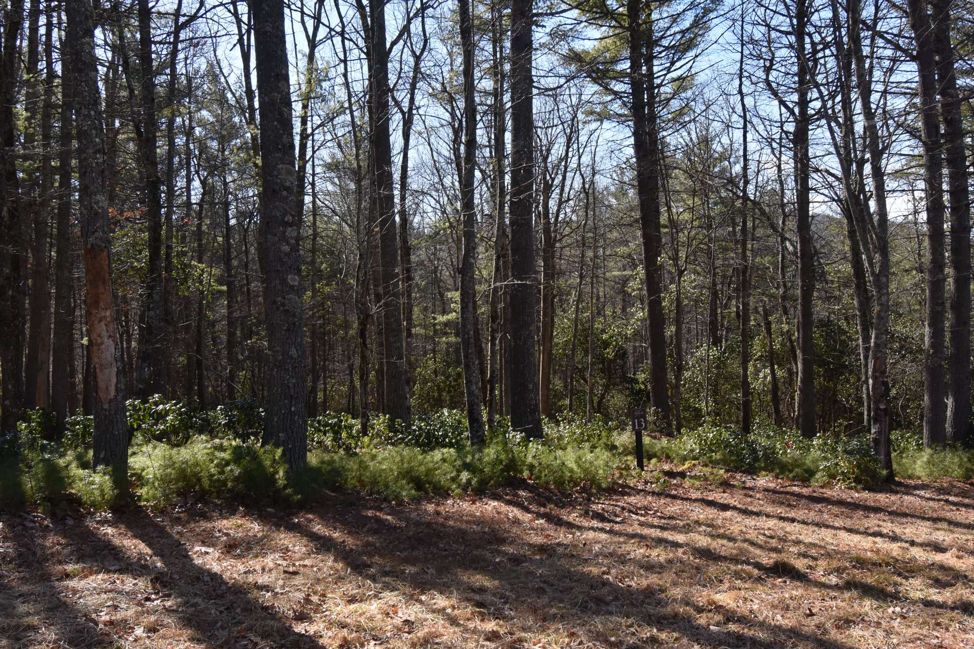 Lot 13 is now available. This superb,  1.25 acre elevated building lot is close to the Blue Ridge Parkway in the desirable Glendale Springs/Obids area of Ashe County.  Just off Idlewild Rd., and convenient to West Jefferson, Wilkesboro, and Boone.