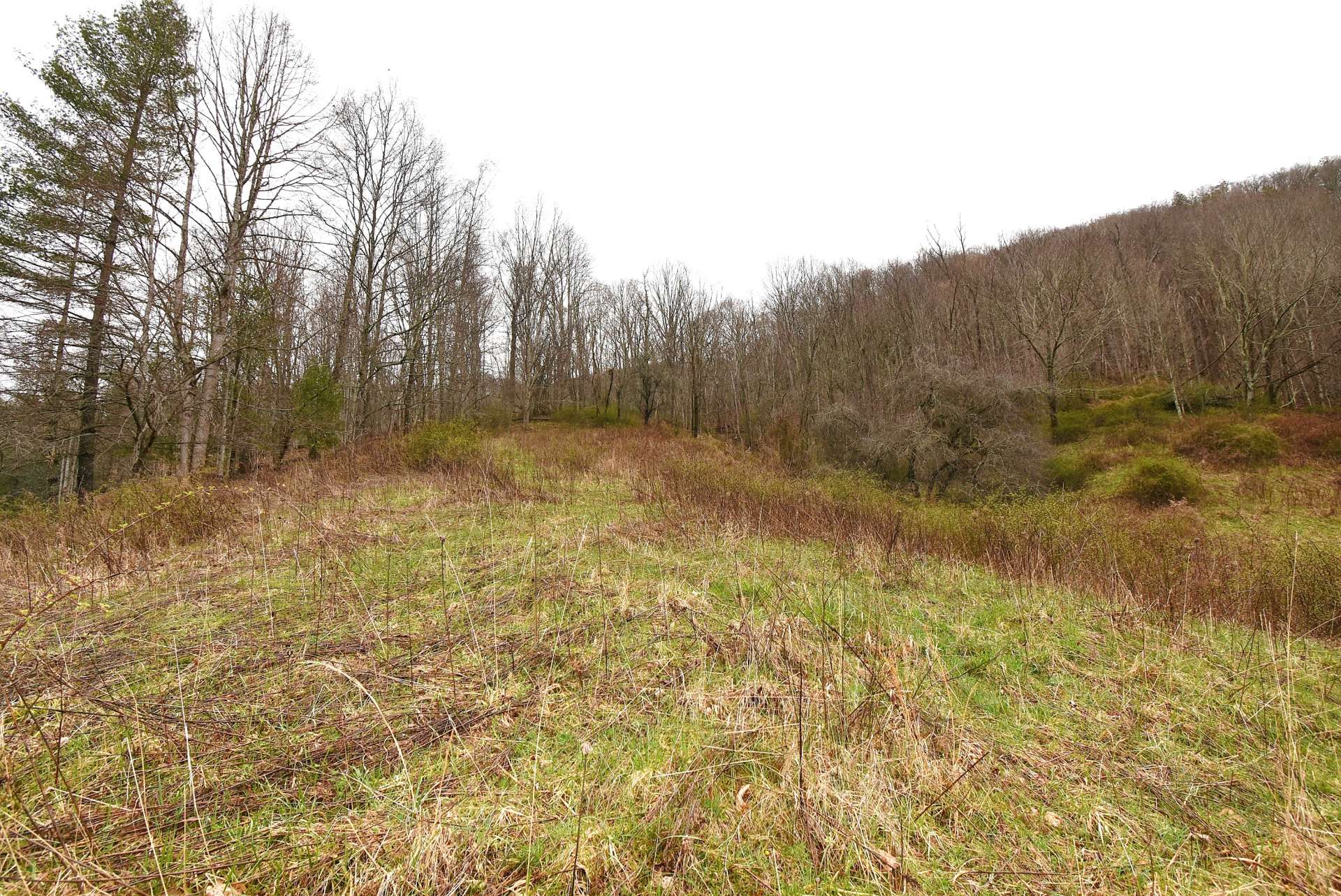 A nice homesite with views of Big  Horse Creek  is situated at the bottom of the property.